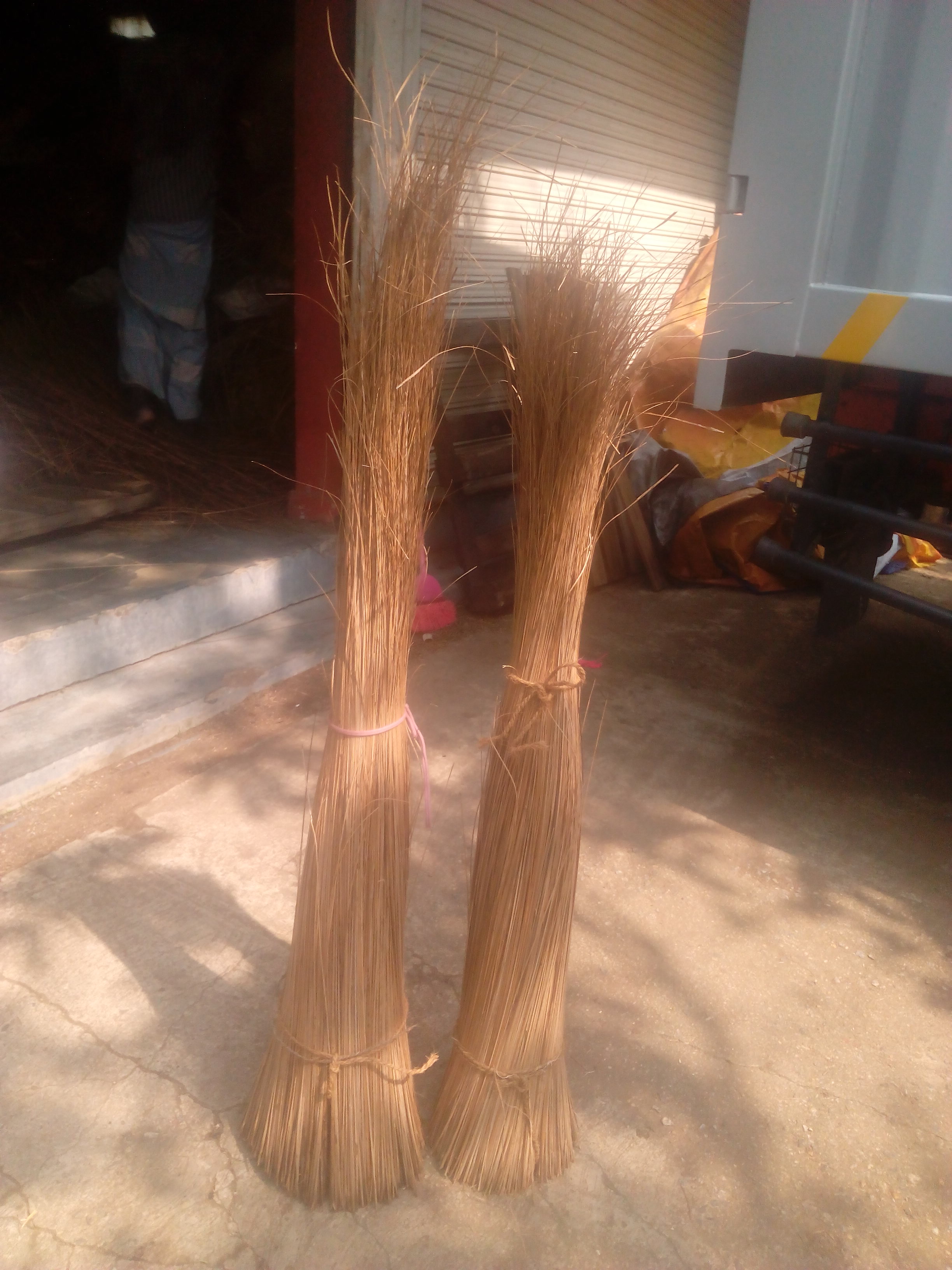 Coconut broom sticks Ekel